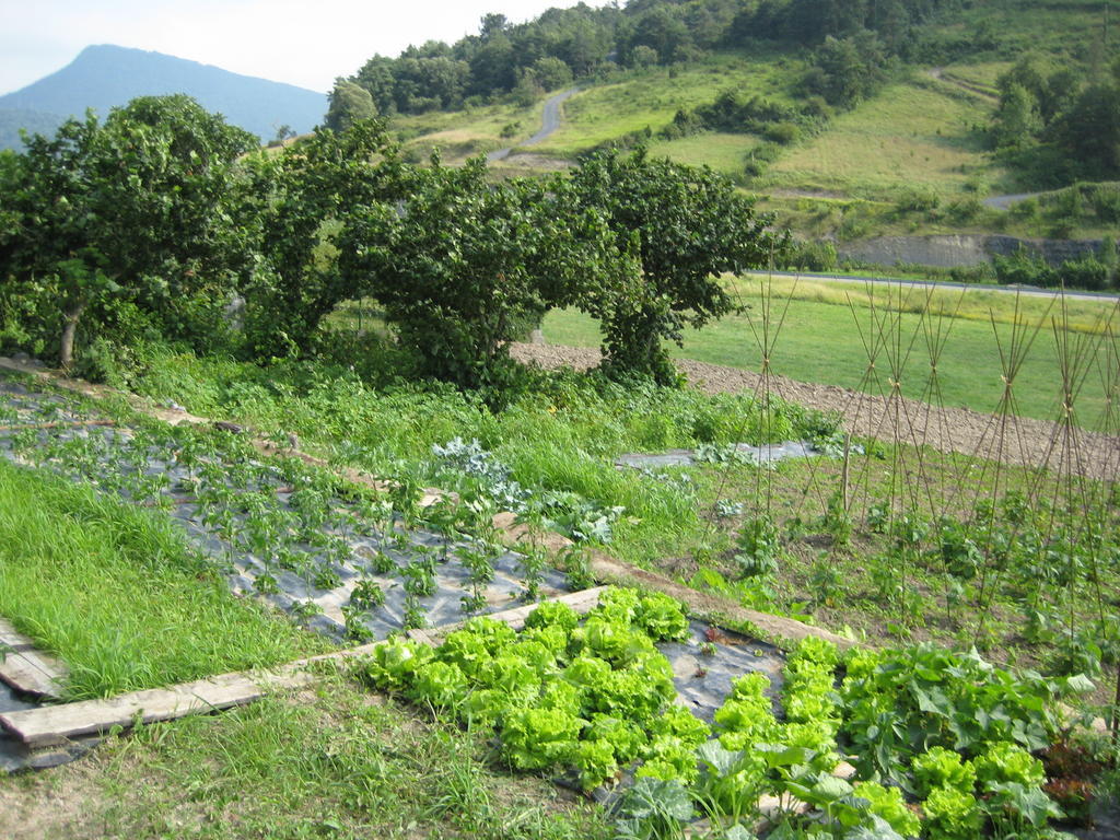 Casa Rural Garabilla Llanteno Luaran gambar